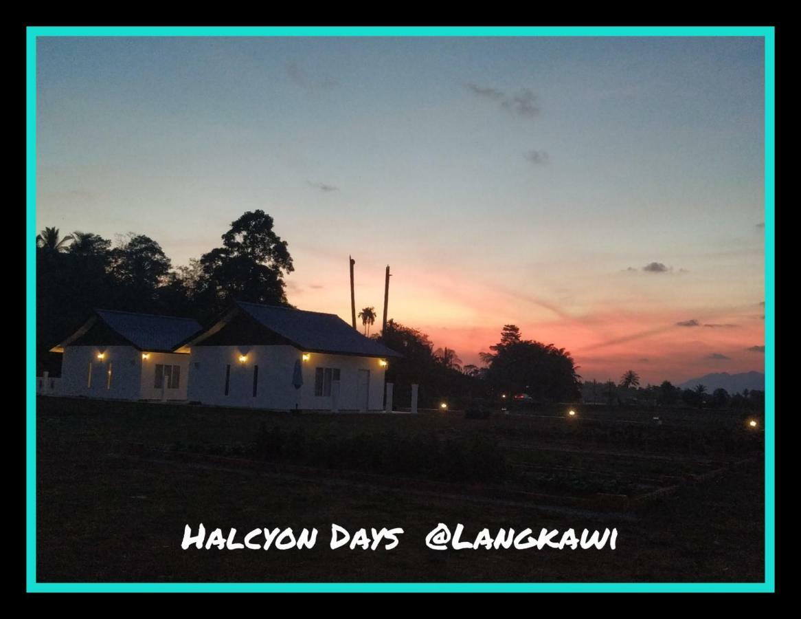 Halcyon Days @ Langkawi Apartment Pantai Cenang  Exterior foto
